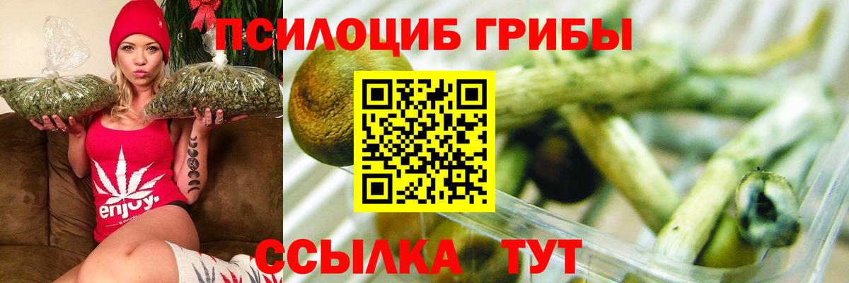Северобайкальск  Галлюциногенные грибы Cubensis  Вход с VPN  Псилоцибиновые грибы MAGIC MUSHROOMS 
